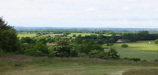 Barr Beacon Local Nature Reserve